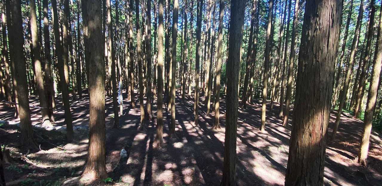 松永久秀屋敷跡